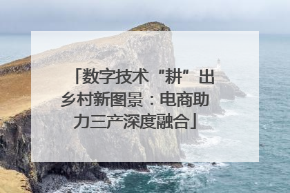 数字技术“耕”出乡村新图景：电商助力三产深度融合