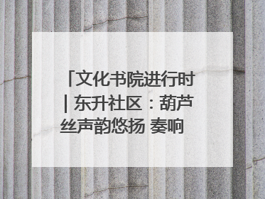 文化书院进行时｜东升社区：葫芦丝声韵悠扬 奏响文化和谐曲