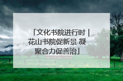 文化书院进行时｜花山书院促新景 凝聚合力促善治