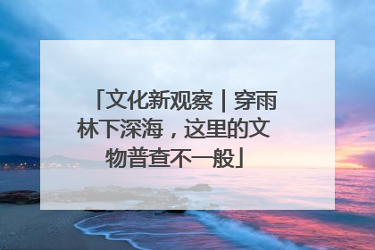 文化新观察｜穿雨林下深海，这里的文物普查不一般