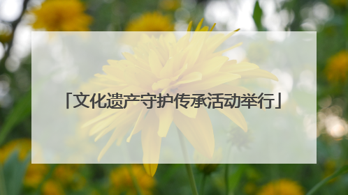 文化遗产守护传承活动举行