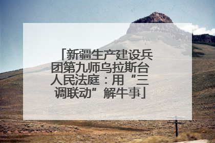 新疆生产建设兵团第九师乌拉斯台人民法庭：用“三调联动”解牛事