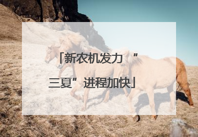 新农机发力 “三夏”进程加快