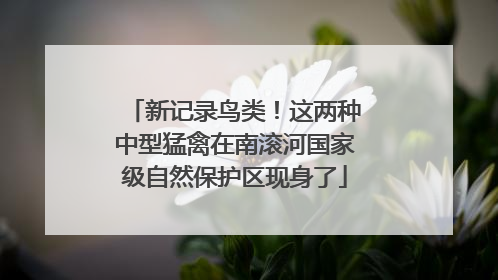 新记录鸟类！这两种中型猛禽在南滚河国家级自然保护区现身了