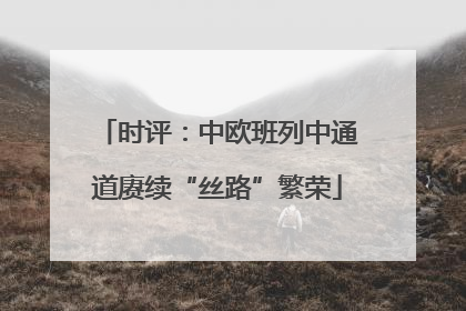时评：中欧班列中通道赓续“丝路”繁荣
