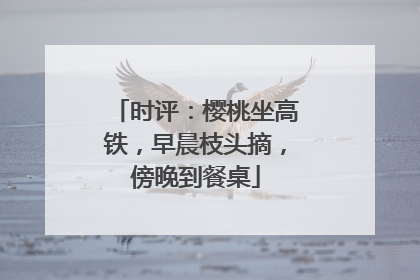 时评：樱桃坐高铁，早晨枝头摘，傍晚到餐桌