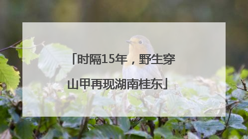 时隔15年，野生穿山甲再现湖南桂东