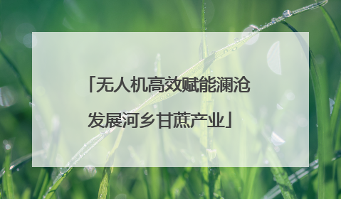 无人机高效赋能澜沧发展河乡甘蔗产业