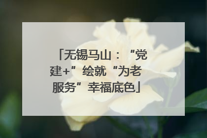 无锡马山：“党建+”绘就“为老服务”幸福底色