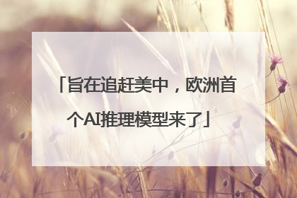 旨在追赶美中，欧洲首个AI推理模型来了