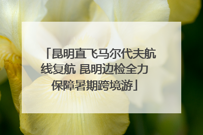 昆明直飞马尔代夫航线复航 昆明边检全力保障暑期跨境游