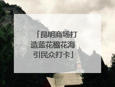 昆明商场打造蓝花楹花海引民众打卡