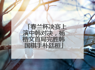 春兰杯决赛上演中韩对决，杨楷文首局完胜韩国棋手朴廷桓