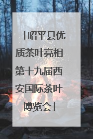 昭平县优质茶叶亮相第十九届西安国际茶叶博览会