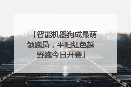 智能机器狗成最萌领跑员，平阳红色越野跑今日开赛