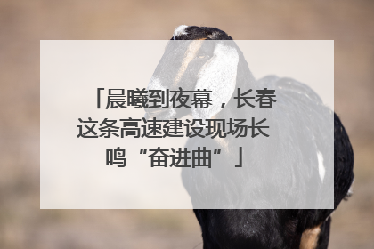 晨曦到夜幕，长春这条高速建设现场长鸣“奋进曲”