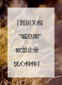 暂居关税“喘息期” 欧盟企业忧心忡忡