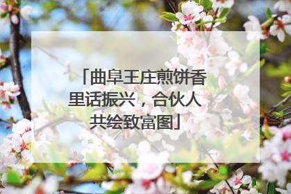 曲阜王庄煎饼香里话振兴，合伙人共绘致富图