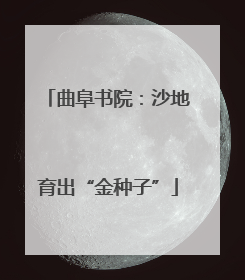 曲阜书院：沙地育出“金种子”