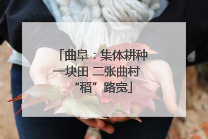 曲阜：集体耕种一块田 二张曲村“稻”路宽