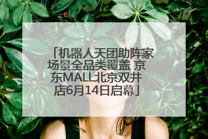 机器人天团助阵家场景全品类覆盖 京东MALL北京双井店6月14日启幕