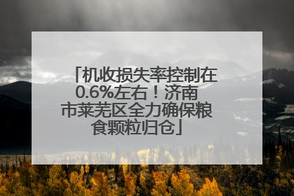 机收损失率控制在0.6%左右！济南市莱芜区全力确保粮食颗粒归仓