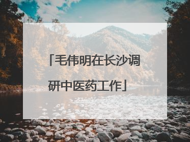 毛伟明在长沙调研中医药工作