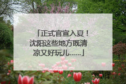 正式官宣入夏！沈阳这些地方既清凉又好玩儿……