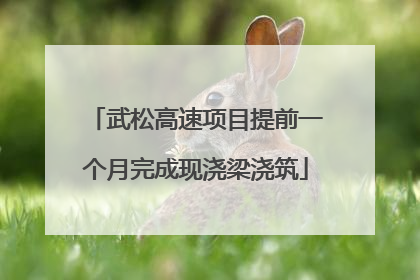 武松高速项目提前一个月完成现浇梁浇筑