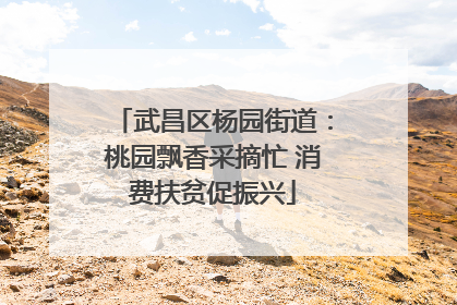 武昌区杨园街道：桃园飘香采摘忙 消费扶贫促振兴
