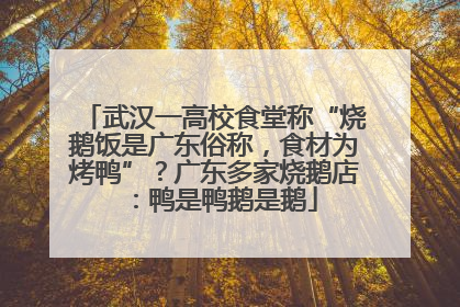 武汉一高校食堂称“烧鹅饭是广东俗称，食材为烤鸭”？广东多家烧鹅店：鸭是鸭鹅是鹅