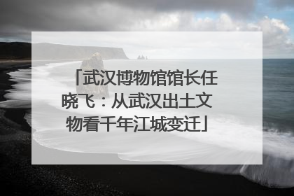 武汉博物馆馆长任晓飞：从武汉出土文物看千年江城变迁
