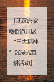 武汉唐家墩街道开展“三大精神”沉浸式宣讲活动
