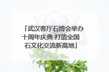 武汉客厅石博会举办十周年庆典 打造全国石文化交流新高地