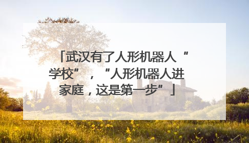 武汉有了人形机器人“学校”，“人形机器人进家庭，这是第一步”