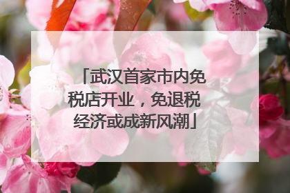武汉首家市内免税店开业，免退税经济或成新风潮