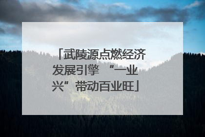 武陵源点燃经济发展引擎 “一业兴”带动百业旺