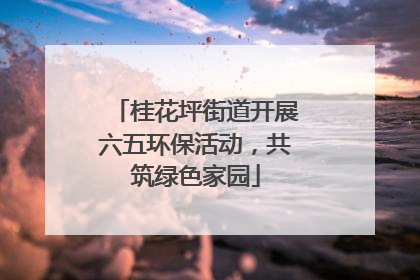 桂花坪街道开展六五环保活动，共筑绿色家园