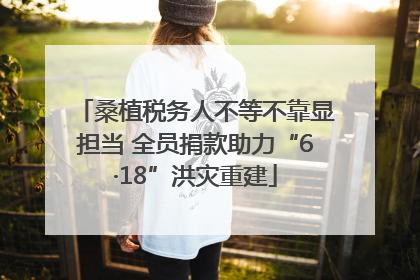 桑植税务人不等不靠显担当 全员捐款助力“6·18”洪灾重建