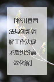桦川县司法局创新调解工作法促矛盾纠纷高效化解