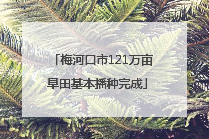 梅河口市121万亩旱田基本播种完成
