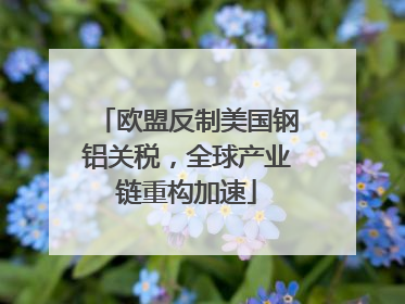 欧盟反制美国钢铝关税，全球产业链重构加速