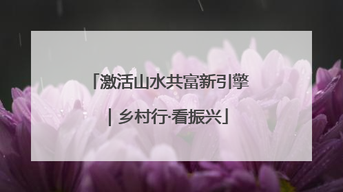 激活山水共富新引擎｜乡村行·看振兴