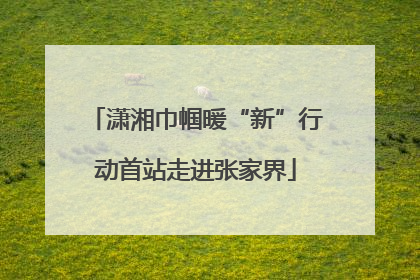 潇湘巾帼暖“新”行动首站走进张家界