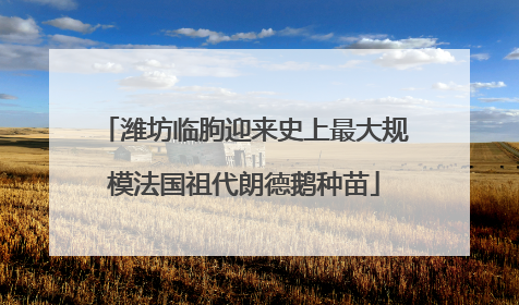 潍坊临朐迎来史上最大规模法国祖代朗德鹅种苗