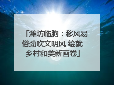 潍坊临朐：移风易俗劲吹文明风 绘就乡村和美新画卷