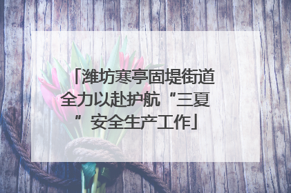 潍坊寒亭固堤街道全力以赴护航“三夏”安全生产工作