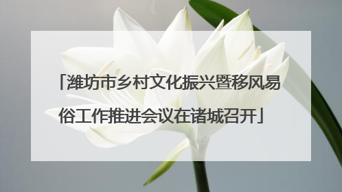 潍坊市乡村文化振兴暨移风易俗工作推进会议在诸城召开