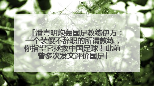 潘粤明炮轰国足教练伊万：一个装傻不辞职的所谓教练，你指望它拯救中国足球！此前曾多次发文评价国足