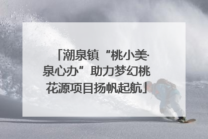 潮泉镇“桃小美·泉心办”助力梦幻桃花源项目扬帆起航